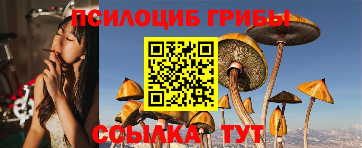 Галлюциногенные грибы MAGIC MUSHROOMS Псков