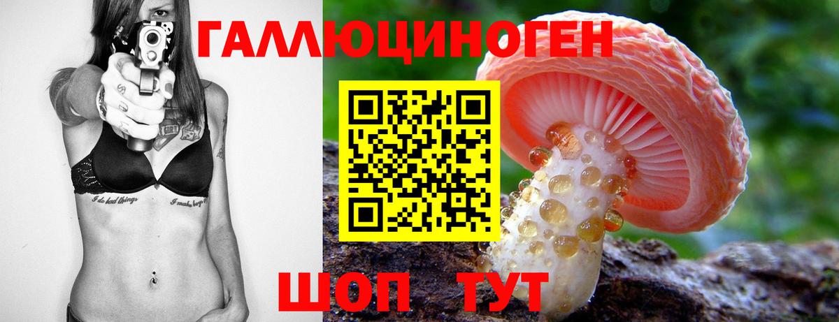 Псков  Псилоцибиновые грибы мухоморы  Вход с VPN 